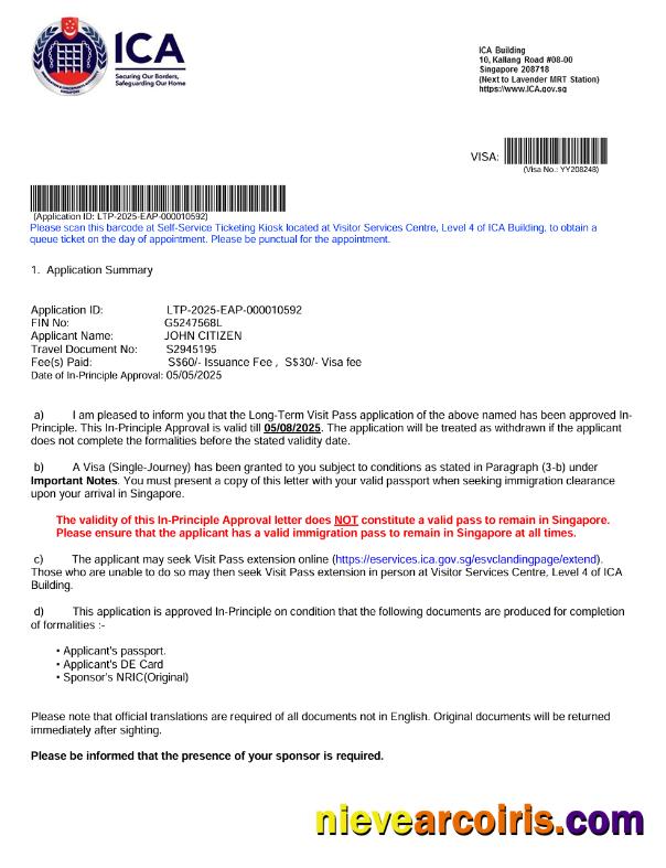 Singapore visa approval letter